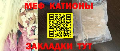 сатива Гай