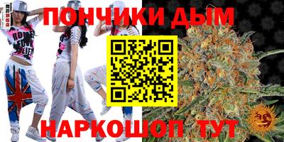 сатива Гай