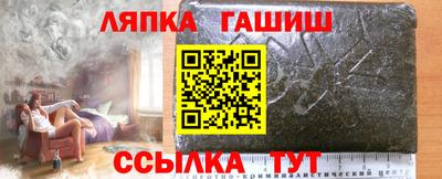 сатива Гай