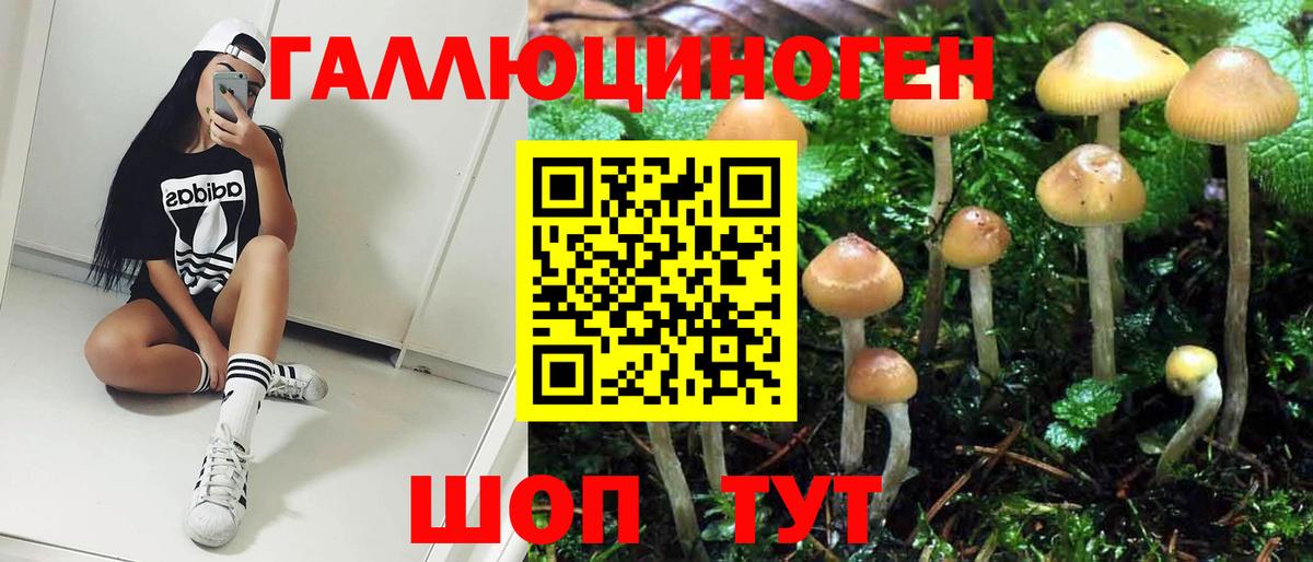 Кропоткин  закладка  Вход с VPN  Галлюциногенные грибы Psilocybe 