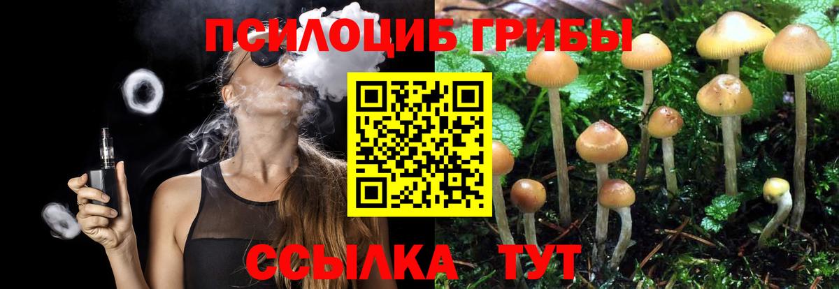 Псилоцибиновые грибы ЛСД Кропоткин